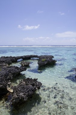 tropikal turkuaz resif