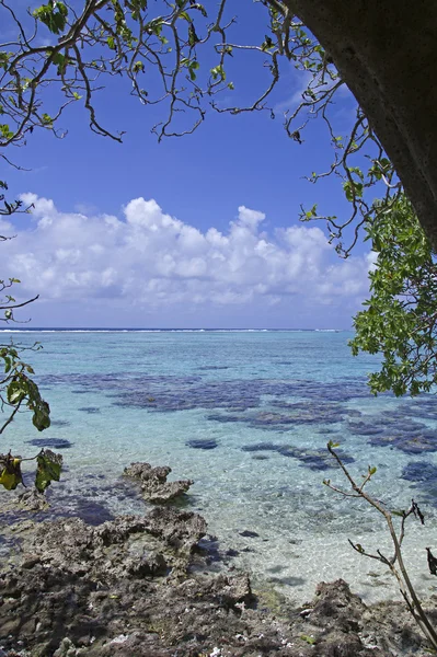 Barriera corallina turchese tropicale — Foto Stock