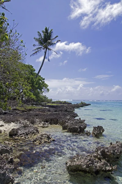 Barriera corallina turchese tropicale — Foto Stock