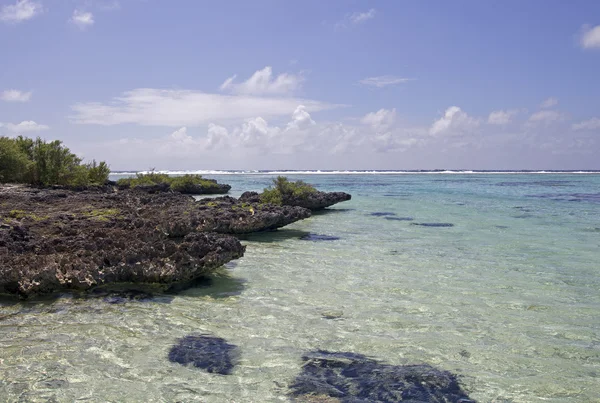 Barriera corallina turchese tropicale — Foto Stock