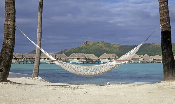 Houpací síť v bora bora — Stock fotografie