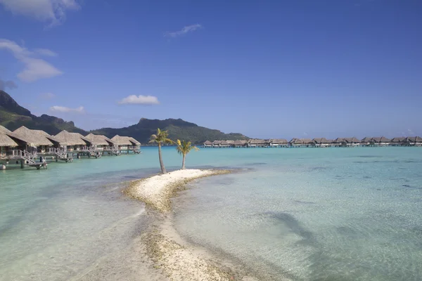 Bora bora paradise — Stock Photo, Image