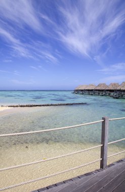 cennete hoşgeldiniz