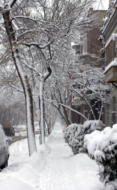 Montreal storm sonra