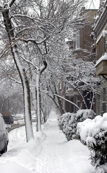 嵐の後のモントリオールMontreal po bouři — ストック写真