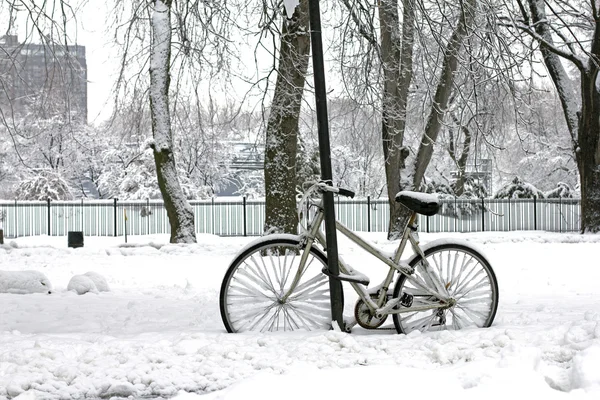 Winter Paardrijden — Stockfoto