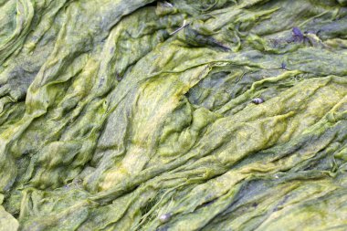 metalen bal veiligheidsmaterialen