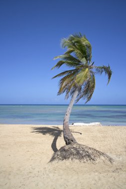 Punta Cana beach