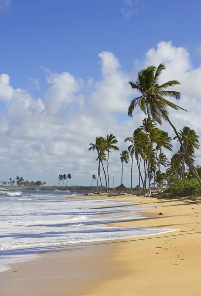 Punta cana strand — Stockfoto