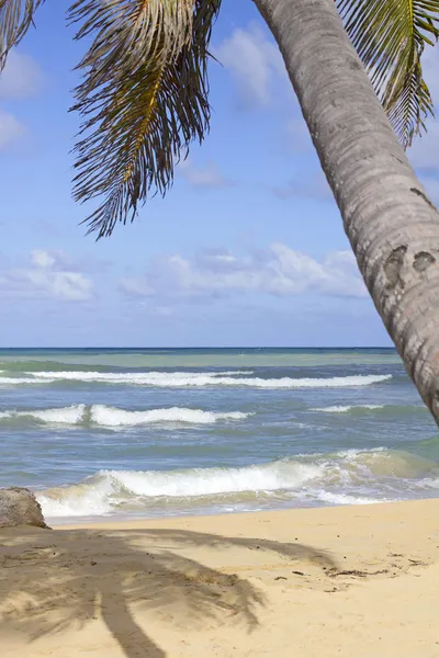 Pláž Punta cana — Stock fotografie