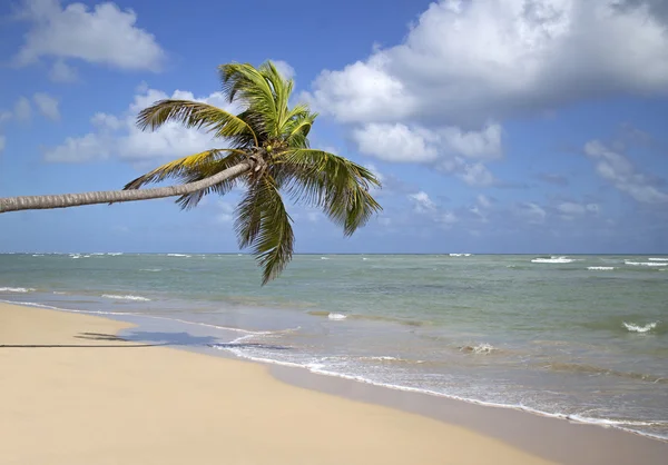 Praia de Punta cana — Fotografia de Stock