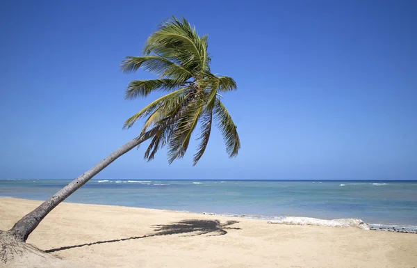 Strand von Punta Cana — Stockfoto