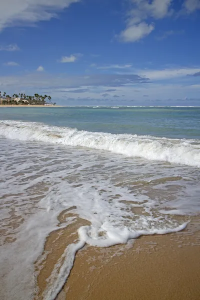 Punta cana strand — Stockfoto