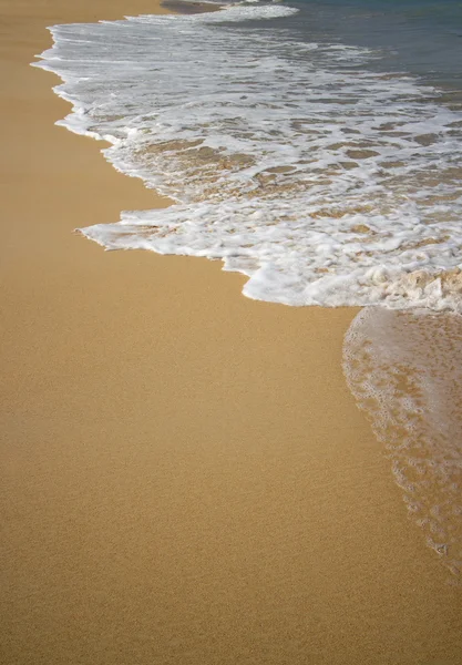 Beach closeup — Stock Photo, Image