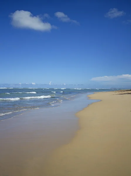 Playa Punta cana — Foto de Stock