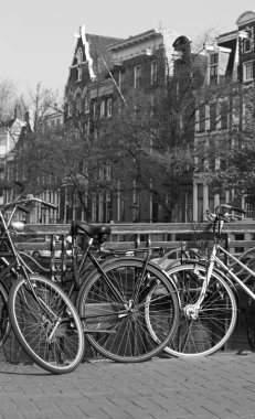 Beyaz Siyah amsterdam