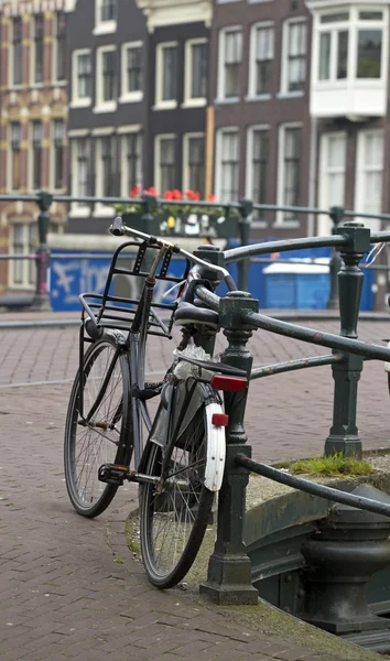 Вид на Амстердам — стокове фото