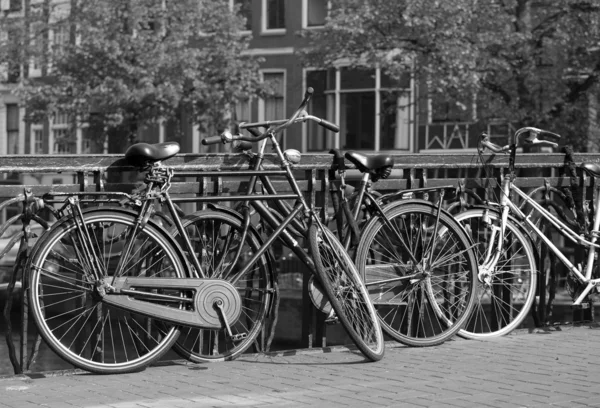 Blanco y negro Amsterdam —  Fotos de Stock