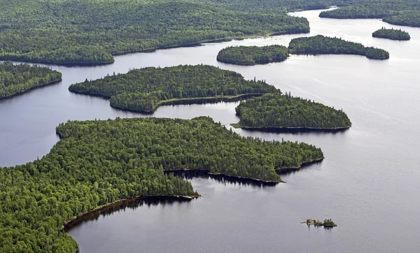 Aerial forest — Stock Photo, Image