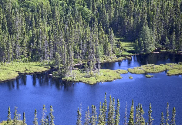 Aerial forest — Stock Photo, Image