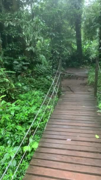 木製の橋の上を歩くと コスタリカのリオ セレステ テノリオ火山国立公園近くのエキゾチックな青い川を明らかにするためにパンニングしながら — ストック動画