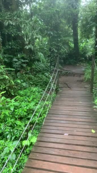 Passeggiando Sul Ponte Legno Mentre Panning Oltre Rivelare Esotico Fiume — Video Stock