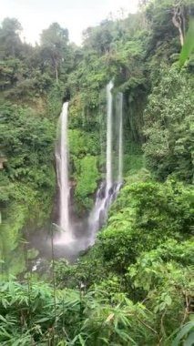 Bali Endonezya 'daki Sekumpul Şelalesi' ne yukarıdan bakan yemyeşil bir yağmur ormanı..