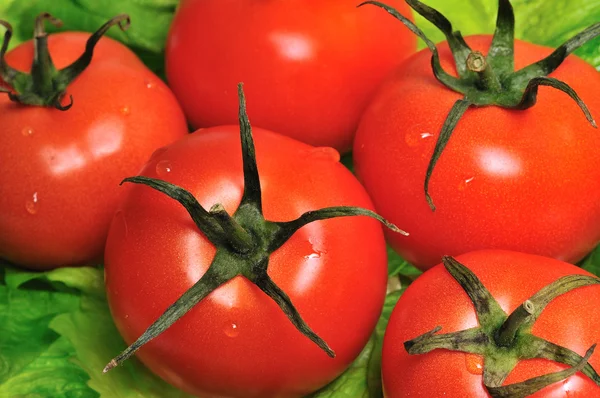 Tomato — Stock Photo, Image