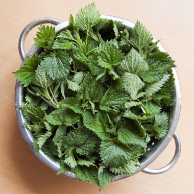 Nettles kevgir içinde