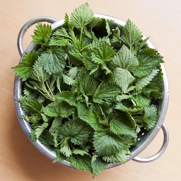 Nettles in colander — Stock Photo, Image