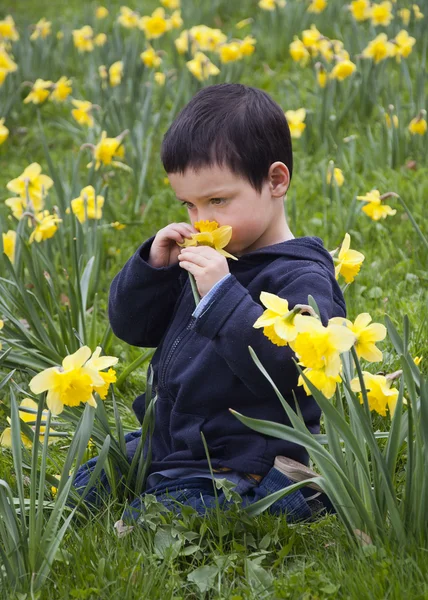 Criança com narcisos — Fotografia de Stock