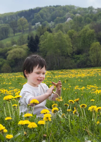 Enfant dans la prairie printanière — Photo