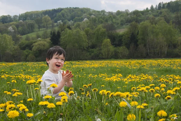 Ребёнок на весеннем лугу — стоковое фото
