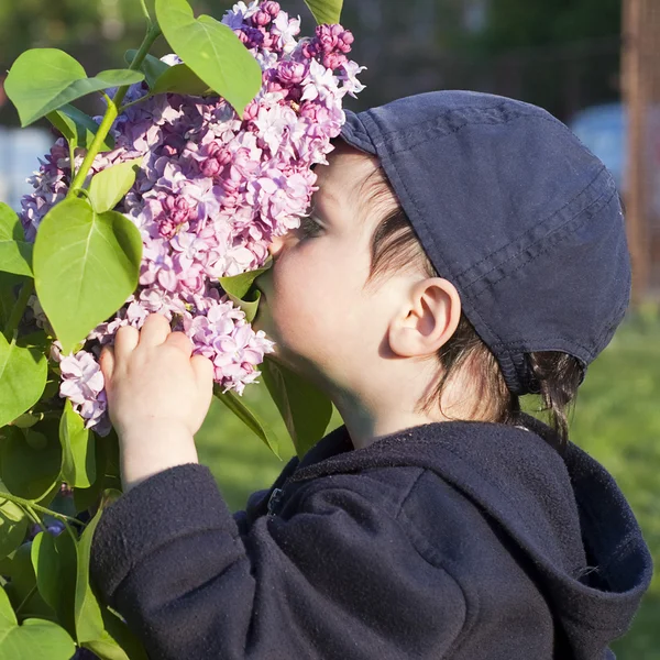 Çocuk ve leylak çiçeği — Stok fotoğraf