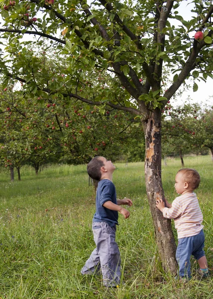 Bambini in giardino — Foto Stock