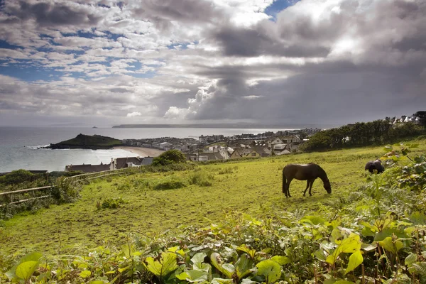 Paisagem em Cornwall — Fotografia de Stock