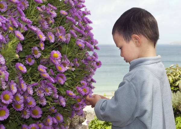 Child in the garden — Stock Photo, Image