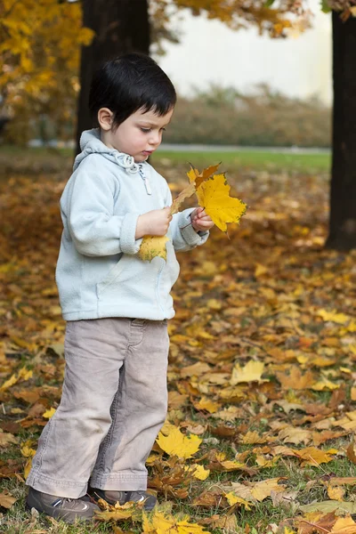 Child in autumn park — Stock Photo, Image