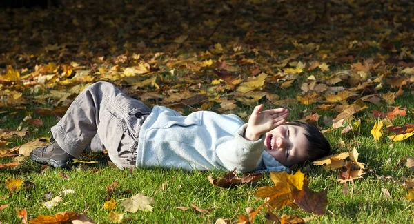 Niño en el parque de otoño —  Fotos de Stock