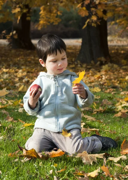 Kind in herfst park — Stockfoto