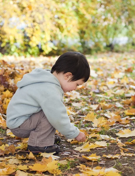 Enfant dans le parc d'automne — Photo