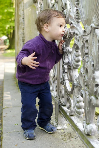 Curious child at gate — Stock Photo, Image