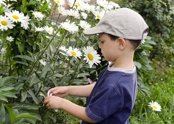 Child in daisy garden — Stock Photo, Image