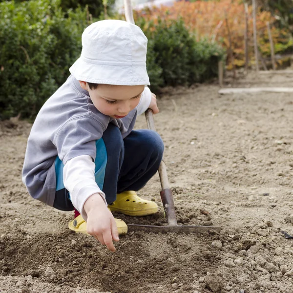 Child gardening — Stock Photo, Image