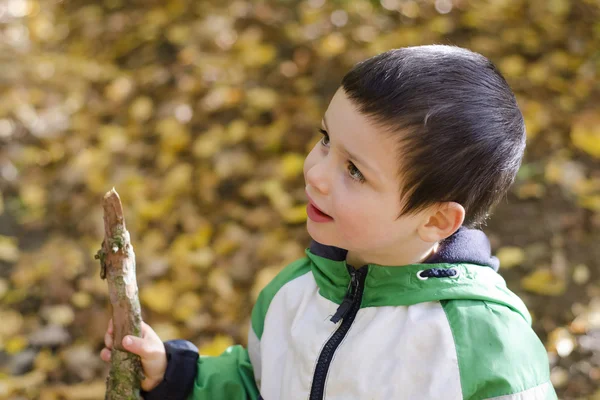 Child with stick in nature — Stock Photo, Image