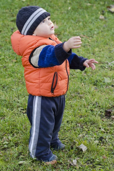 Enfant debout sur l'herbe — Photo