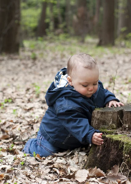 Baby child in forest — Stock Photo, Image