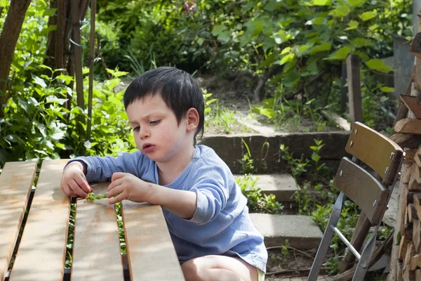 Barn äter gröna ärtor på garden — Stockfoto