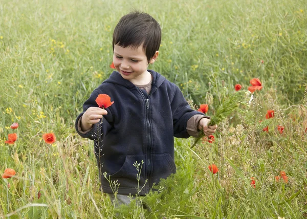 Child with poppies — Stock Photo, Image