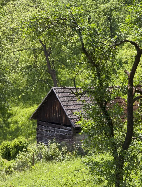 Dřevěné stodole nebo kůlně — Stock fotografie